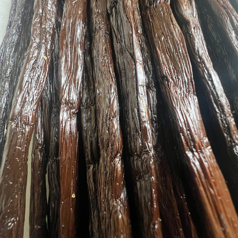 Gourmet Black Bourbon pods