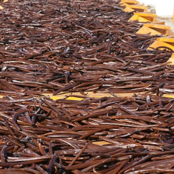 Gourmet Black Bourbon pods