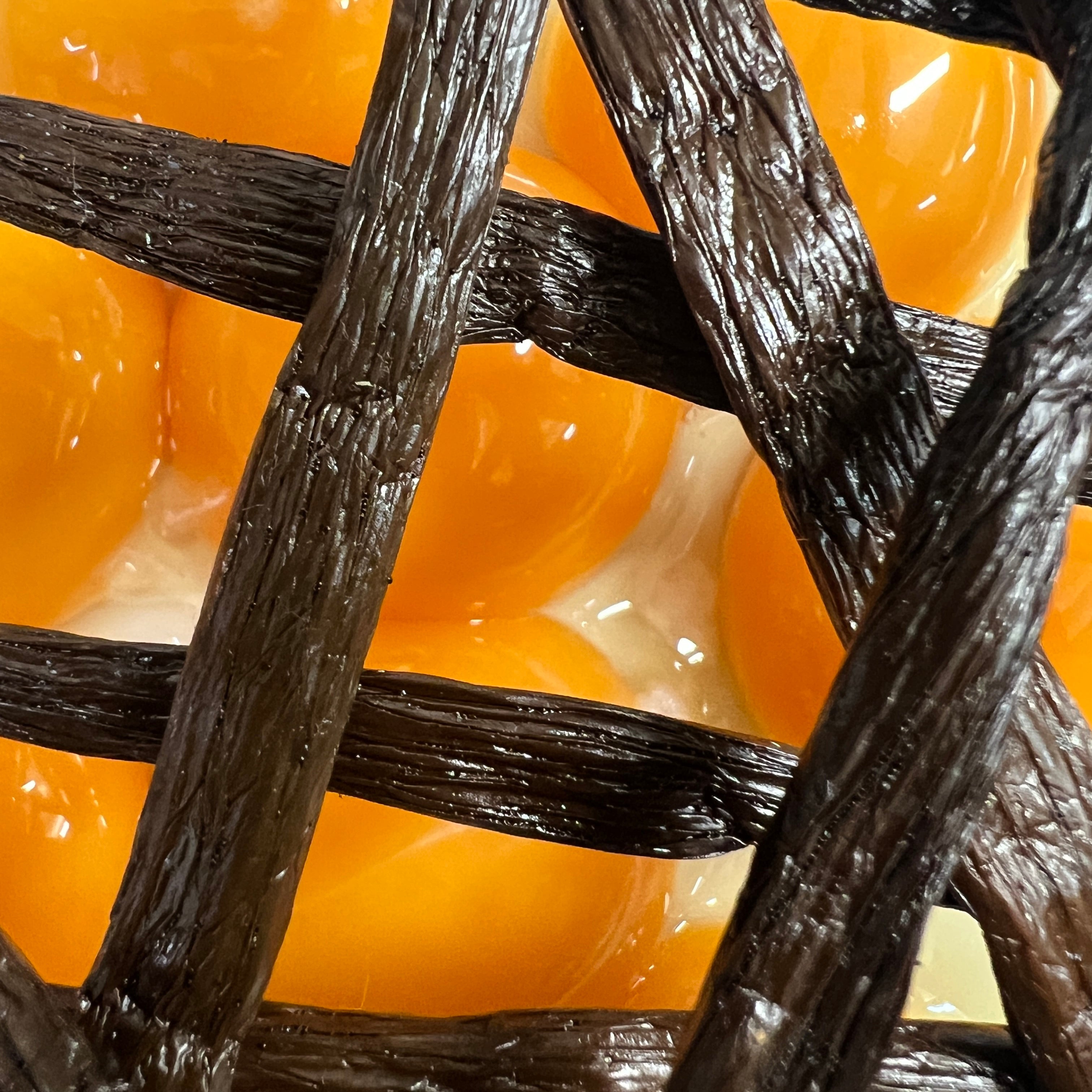 Gourmet Black Bourbon pods